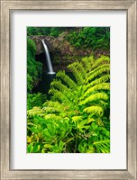 Rainbow Falls, Wailuku River State Park, Hawaii Fine Art Print