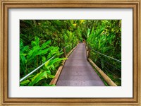Trail At The Hawaii Tropical Botanical Garden Fine Art Print