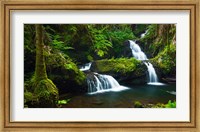 Onomea Waterfalls At The Hawaii Tropical Botanical Garden Fine Art Print