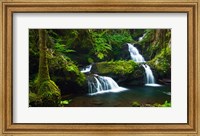 Onomea Waterfalls At The Hawaii Tropical Botanical Garden Fine Art Print