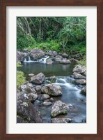 Limahuli Garden And Preserve, Kauai, Hawaii Fine Art Print