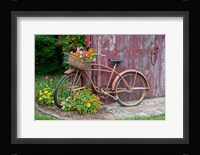 Old Bicycle With Flower Basket, Marion County, Illinois Fine Art Print
