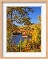 Wyman Lake In Autumn, Maine Fine Art Print