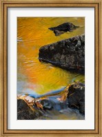 Abstract River, Acadia National Park, Maine Fine Art Print