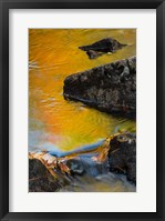 Abstract River, Acadia National Park, Maine Fine Art Print