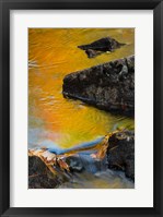 Abstract River, Acadia National Park, Maine Fine Art Print
