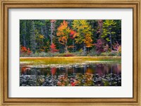 Somes Pond In Autumn, Somesville, Maine Fine Art Print