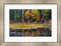 Somes Pond In Autumn, Somesville, Maine Fine Art Print