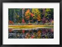 Somes Pond In Autumn, Somesville, Maine Fine Art Print