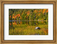 Autumn Reflections In Bubble Pond, Acadia National Park, Maine Fine Art Print