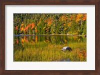 Autumn Reflections In Bubble Pond, Acadia National Park, Maine Fine Art Print