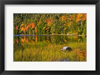 Autumn Reflections In Bubble Pond, Acadia National Park, Maine Fine Art Print