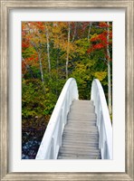 White Footbridge Path, Maine Fine Art Print