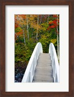 White Footbridge Path, Maine Fine Art Print