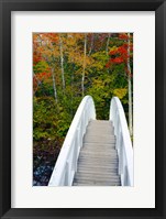 White Footbridge Path, Maine Fine Art Print