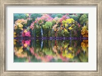 Great Long Pond Reflection,  Maine Fine Art Print