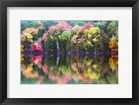 Great Long Pond Reflection,  Maine Fine Art Print