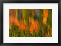 Bubble Pond, Acadia National Park, Maine Fine Art Print