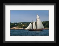 Annual Schooner Festival, Massachusetts Fine Art Print