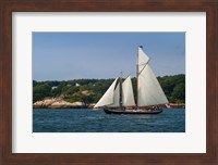 Annual Schooner Festival, Massachusetts Fine Art Print