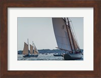 Schooners Sailling, Massachusetts Fine Art Print