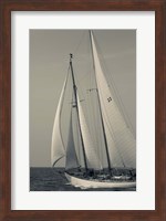 Schooner #22 Sailing, Massachusetts (BW) Fine Art Print