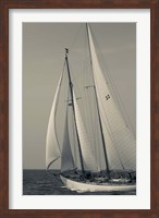 Schooner #22 Sailing, Massachusetts (BW) Fine Art Print