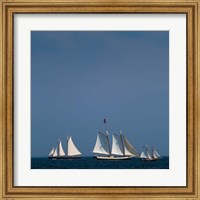 Three Schooners Sailing In Cape Ann Fine Art Print