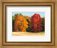 Autumn In The Upper Peninsula Of The Hiawatha National Forest Fine Art Print