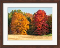Autumn In The Upper Peninsula Of The Hiawatha National Forest Fine Art Print