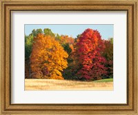 Autumn In The Upper Peninsula Of The Hiawatha National Forest Fine Art Print