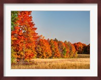 Fall Colors Of The Hiawatha National Forest Fine Art Print