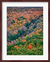 Big Carp River, Porcupine Mountains Wilderness State Park, Michigan Fine Art Print