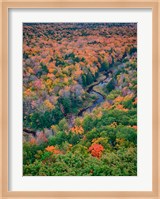 Big Carp River, Porcupine Mountains Wilderness State Park, Michigan Fine Art Print