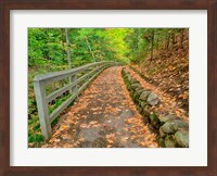 Autumn Trail Leading To Munising Falls Fine Art Print