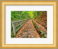 Autumn Trail Leading To Munising Falls Fine Art Print