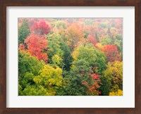 Forest Above The Cut River Bridge, Michigan Fine Art Print