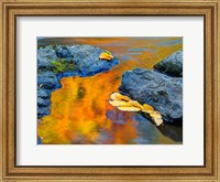 Michigan, Upper Peninsula Fall Colors Reflecting In River With Leaves Floating Fine Art Print