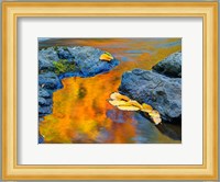 Michigan, Upper Peninsula Fall Colors Reflecting In River With Leaves Floating Fine Art Print