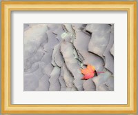 Single Leaf On Rocks Along Bonanza Fall Fine Art Print