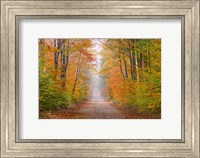 Autumn Road In Schoolcraft County, Michigan Fine Art Print