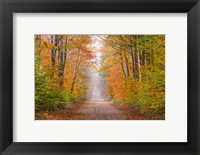 Autumn Road In Schoolcraft County, Michigan Fine Art Print