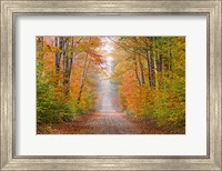 Autumn Road In Schoolcraft County, Michigan Fine Art Print