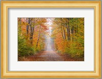 Autumn Road In Schoolcraft County, Michigan Fine Art Print