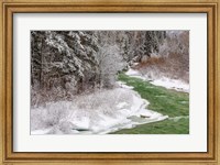 Coal Creek In The Winter, Montana Fine Art Print