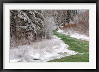 Coal Creek In The Winter, Montana Fine Art Print