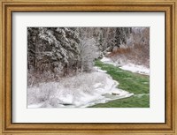 Coal Creek In The Winter, Montana Fine Art Print
