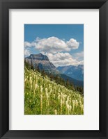Beargrass As Seen From Glacier National Park Fine Art Print