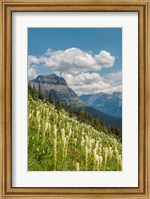 Beargrass As Seen From Glacier National Park Fine Art Print