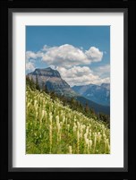 Beargrass As Seen From Glacier National Park Fine Art Print